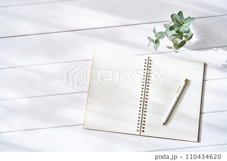 開いた無地のリングノートとボールペン　新生活のイメージ 110434620