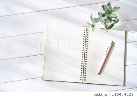 開いた無地のリングノートとボールペン　新生活のイメージ 110434628