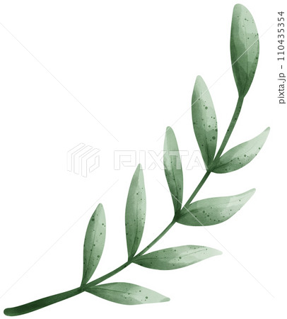 Olive branch, Holy Week Catholic Tradition watercolor illustration Olive branch, Holy Week Catholic Tradition watercolor illustration 110435354