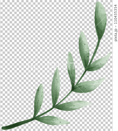 Olive branch, Holy Week Catholic Tradition watercolor illustration Olive branch, Holy Week Catholic Tradition watercolor illustration 110435354