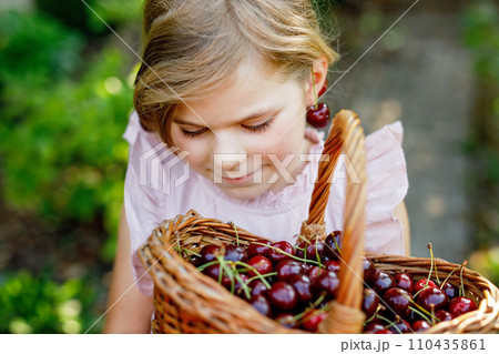 Beautiful girl in the garden. Happy girl with cherries. Preschol child with basket full of ripe berries and fun cherry earrings. Beautiful girl in the garden. Happy girl with cherries. Preschol child with basket full of ripe berries and fun cherry earrings. 110435861