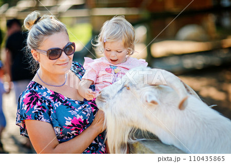 Adorable cute toddler girl and young mother feeding little goats and sheeps on kids farm. Beautiful baby child petting animals in petting zoo. Woman and daughter together on family weekend vacations Adorable cute toddler girl and young mother feeding little goats and sheeps on kids farm. Beautiful baby child petting animals in petting zoo. Woman and daughter together on family weekend vacations 110435865
