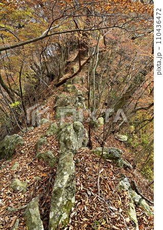 塩原渓谷の天狗岩頂上付近の尾根に紅葉の林 塩原渓谷の天狗岩頂上付近の尾根に紅葉の林 110436472