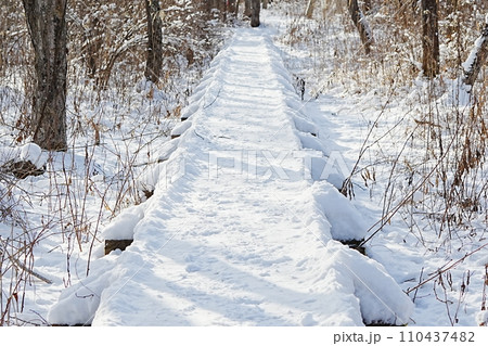 雪の積もったウトナイ湖サンクチュアリの遊歩道 110437482