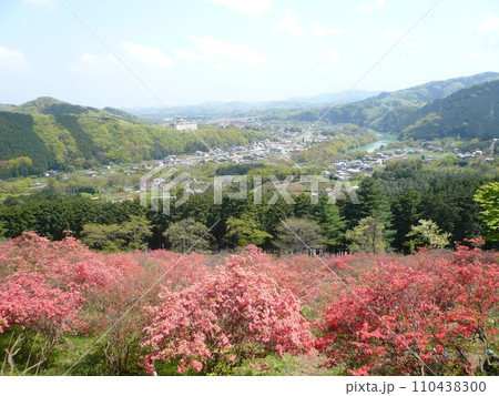 金尾山つつじ公園　　　　（埼玉県寄居町） 110438300