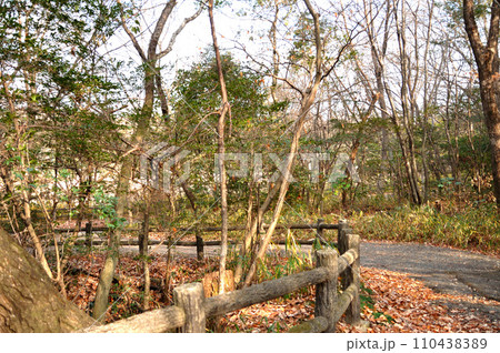 曲道 曲道 110438389