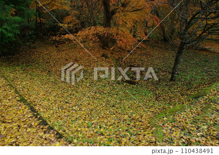 紅葉風景 紅葉風景 110438491