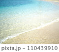 透明度の高い沖縄の海 110439910