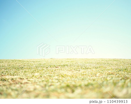 青空と一面の草原 110439913