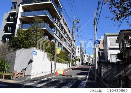 東京都大田区 洗足池商店街の入口 東京都大田区 洗足池商店街の入口 110439965