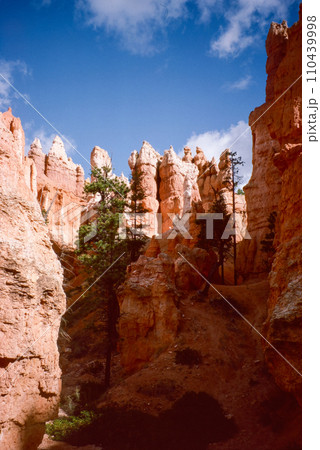 Natural landscape of limestone and sandstone rock formations inside a national parks in utah and arizona in north america in summer Natural landscape of limestone and sandstone rock formations inside a national parks in utah and arizona in north america in summer 110439998