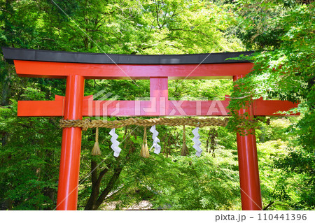 京都 大田神社の朱色の鳥居（上賀茂神社　賀茂別雷神社の摂社） 110441396