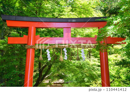 京都 大田神社の朱色の鳥居（上賀茂神社　賀茂別雷神社の摂社） 110441412