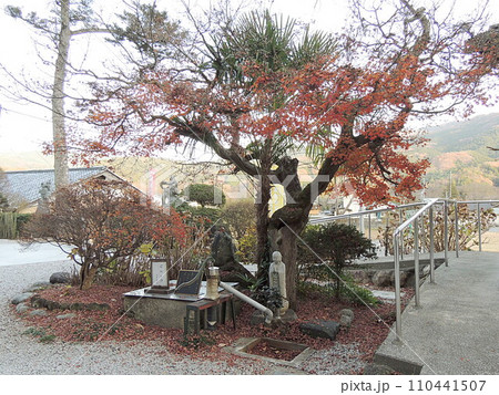 秩父札所三番 常泉寺 長命水の井戸 秩父札所三番 常泉寺 長命水の井戸 110441507