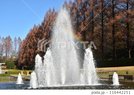 冬至前の相模原公園の紅葉と風景 冬至前の相模原公園の紅葉と風景 110442251