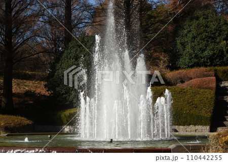 冬至前の相模原公園の紅葉と風景 冬至前の相模原公園の紅葉と風景 110442255