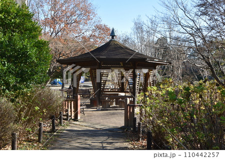 冬至前の相模原公園の紅葉と風景 冬至前の相模原公園の紅葉と風景 110442257