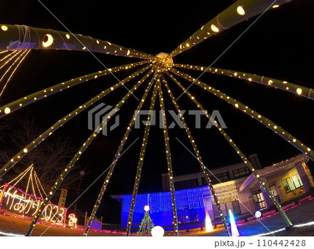 竹のイルミネーション 110442428