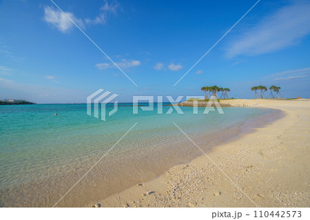 沖縄のエメラルドビーチ 沖縄のエメラルドビーチ 110442573