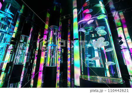 DMMかりゆし水族館の風景 DMMかりゆし水族館の風景 110442621