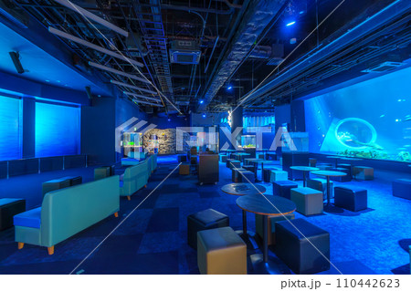 DMMかりゆし水族館の風景 DMMかりゆし水族館の風景 110442623