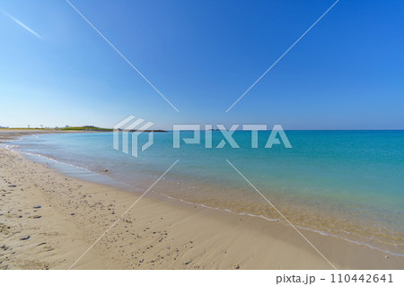 沖縄の豊崎美らSUNビーチ 110442641