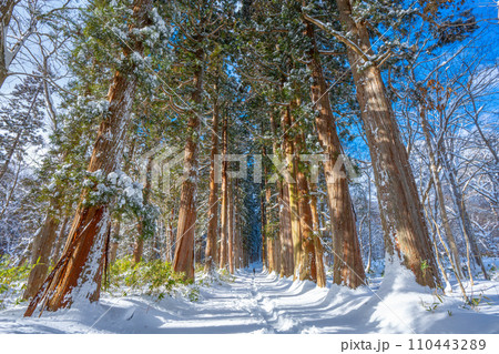 冬の戸隠神社 (長野県長野市) 冬の戸隠神社 (長野県長野市) 110443289