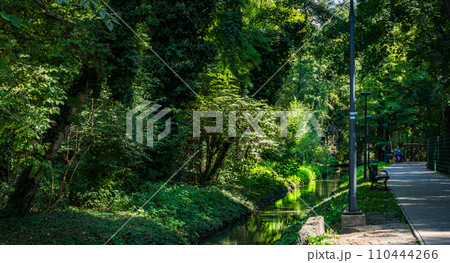 green forest park next to the thermal baths in Heviz, Hungary 110444266
