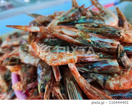 dried shrimp in South Korea dried shrimp in South Korea 110444401