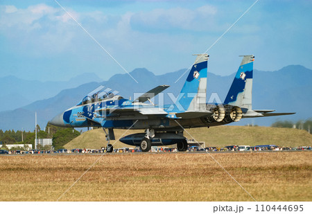 着陸する航空自衛隊 F-15DJ 着陸する航空自衛隊 F-15DJ 110444695