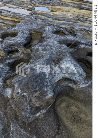 神奈川三浦_西崎の磯の風景 110444921