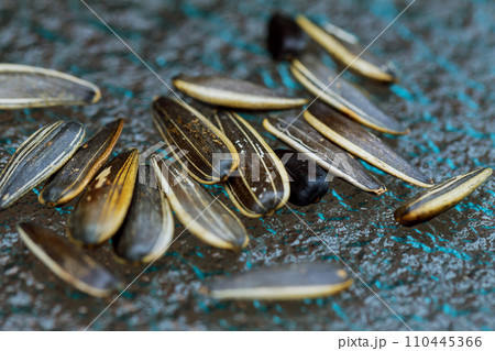 white sunflower seeds on the table 110445366