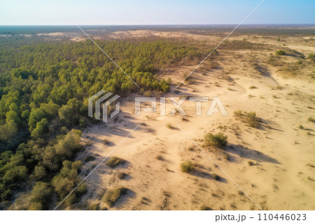 Death of the forest, drought in the desert. Feature of an environmental disaster. Death of the forest, drought in the desert. Feature of an environmental disaster. 110446023