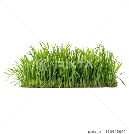 AI-generated content. A short vertical piece of green grass cut out on a transparent background in PNG format. Grass with various sprouts, side view, close-up. A design element to insert into a 110446063