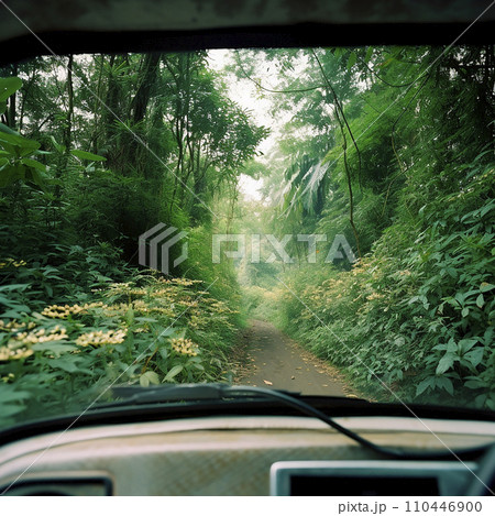 Travel in the tropical jungle. View from the car window of the forest, trees, vines, flowers, road, southern landscape. Travel in the tropical jungle. View from the car window of the forest, trees, vines, flowers, road, southern landscape. 110446900