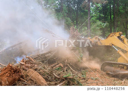 Fire caused by uprooted trees that were felled during preparation land for construction of house 110448256