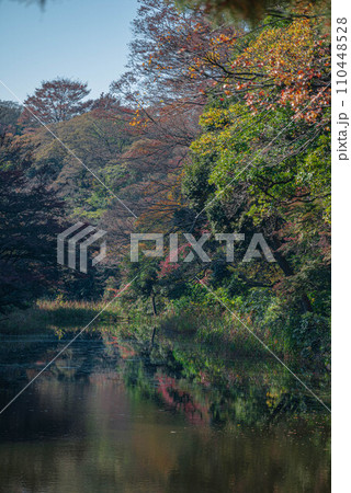 秋の湖 110448528
