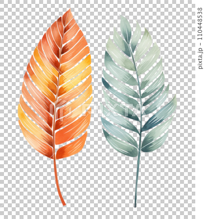 watercolor tropical leaf isolated 110448538