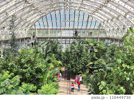 People in a botanical garden 110449730
