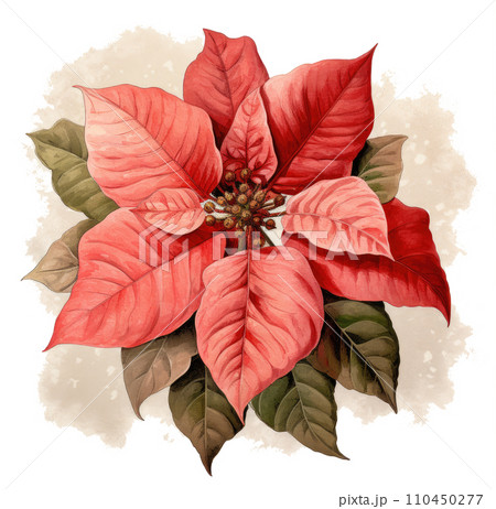 Christmas poinsettia clipart, Christmas poinsettia clipart, 110450277