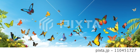 Flying colorful butterflies Flying colorful butterflies 110451727