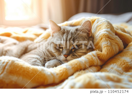 Cute kitten rests on soft blanket. Cat among a knitted fabric blanket. Generative AI 110452174