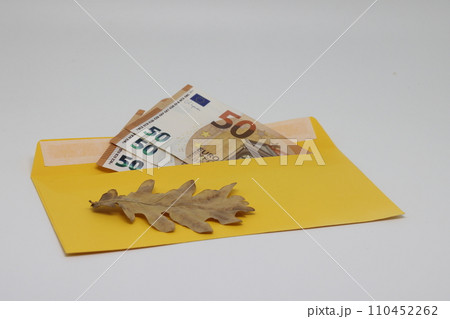 Dry leaf. banknotes in a yellow envelope. open envelope with banknotes on a light background. envelope with banknotes. close-up of an envelope with cash. international currency banknote. Euro dollars Dry leaf. banknotes in a yellow envelope. open envelope with banknotes on a light background. envelope with banknotes. close-up of an envelope with cash. international currency banknote. Euro dollars 110452262