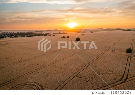 A tranquil sunset casts a warm glow over a sprawling wheat field dotted with tire tracks, highlighting the peaceful countryside scenery. A tranquil sunset casts a warm glow over a sprawling wheat field dotted with tire tracks, highlighting the peaceful countryside scenery. 110452628