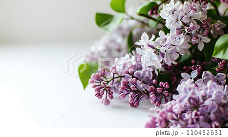Sprig of fragrant lilacs on white background. Minimalistic design. Copy space Sprig of fragrant lilacs on white background. Minimalistic design. Copy space 110452631