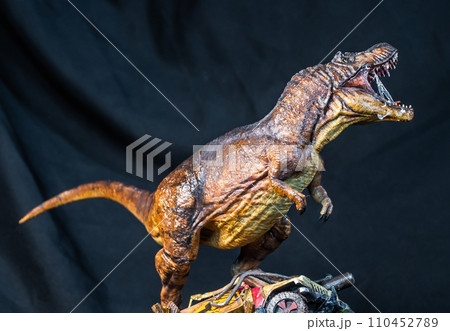 Trex Tyrannosaurus dinosaur in the dark Trex Tyrannosaurus dinosaur in the dark 110452789