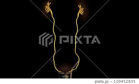 The ureters are tubes made of smooth muscle that propel urine from the kidneys to the urinary bladder 110452835