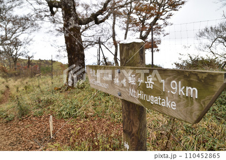 蛭ヶ岳登山道 110452865