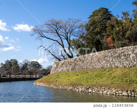彦根城の内堀と石垣(鉢巻腰巻石垣)。滋賀県道518号彦根城線から12月に撮影。 110453656