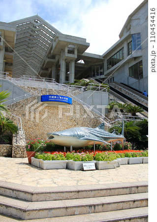 美ら海水族館/国営沖縄記念公園 海洋博公園にあるジンベエザメのオブジェ(日本 沖縄県国頭郡本部町) 美ら海水族館/国営沖縄記念公園 海洋博公園にあるジンベエザメのオブジェ(日本 沖縄県国頭郡本部町) 110454416